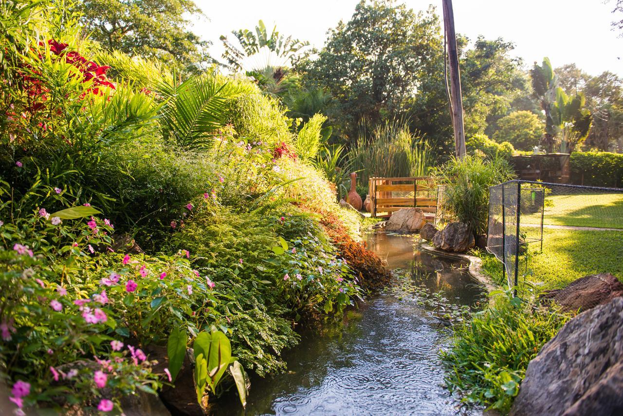 Fringilla Lodge Chisamba Εξωτερικό φωτογραφία