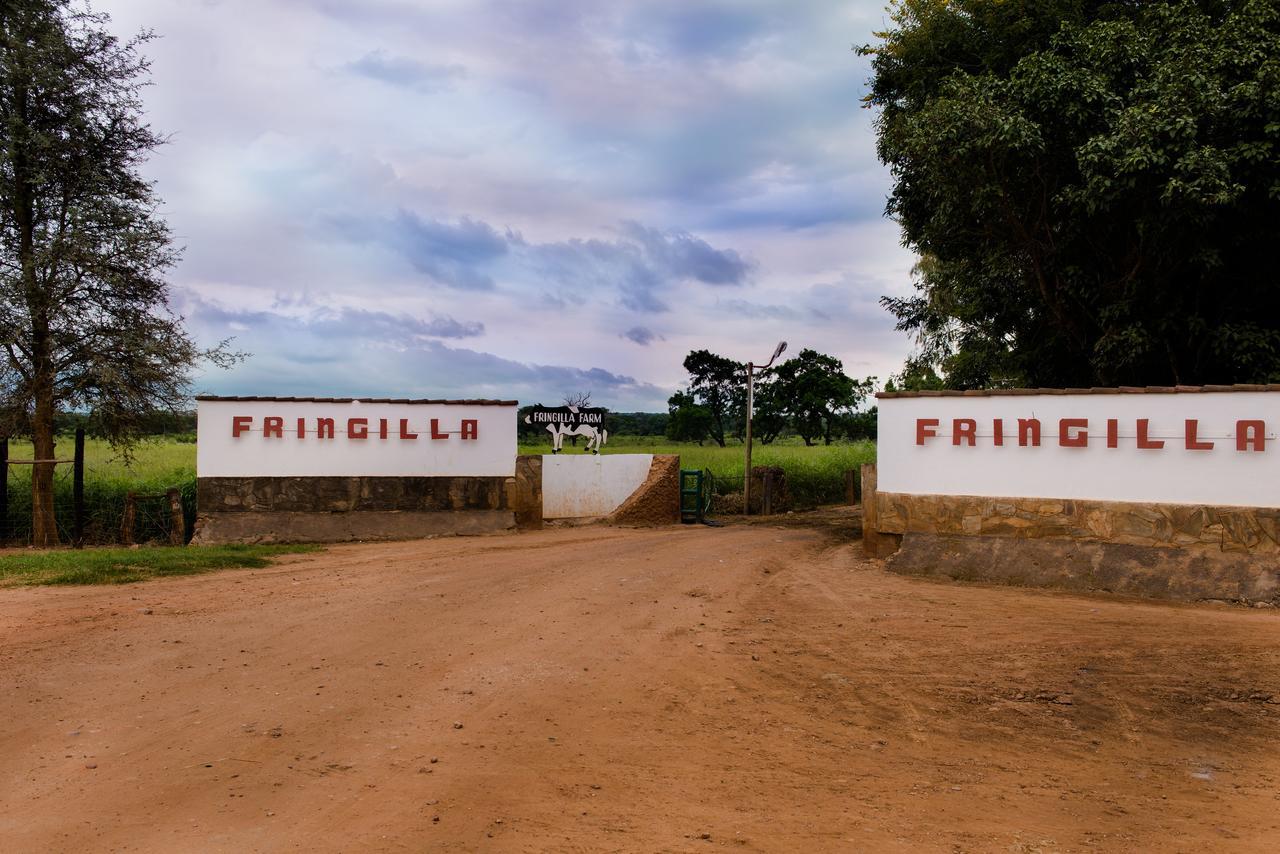 Fringilla Lodge Chisamba Εξωτερικό φωτογραφία